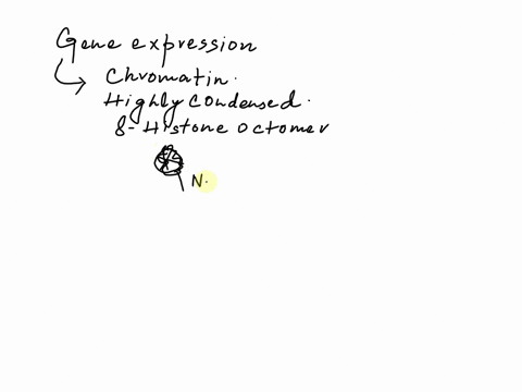 21describe-modifications-to-chromatin-structure-that-affect-gene-expression-in-eukaryotes-22what-is-an-enhancer-how-does-it-affect-the-transcription-of-distant-genes-23briefly-describe-how-t-44098