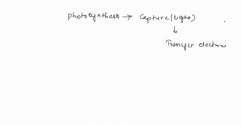 in-photosynthesis-the-capture-of-light-energy-results-in-the-release-and-subsequent-transfer-of-elec-46314