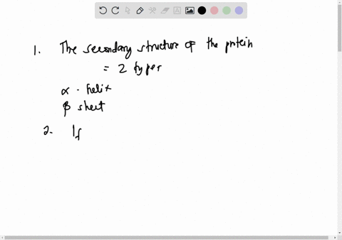the-secondary-structure-of-a-protein-consists-of-a-single-long-beta-sheet-the-outer-edges-of-the-beta-sheet-are-composed-of-serine-and-proline-amino-acids-explain-how-the-structure-of-amino-96606