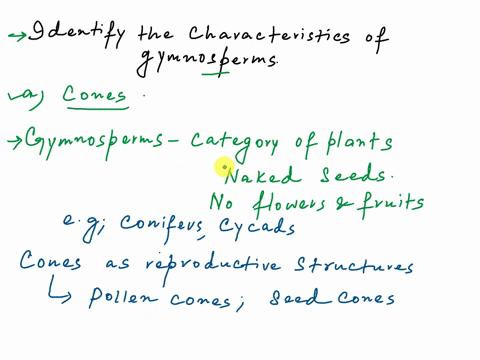 which-of-the-following-is-a-characteristic-of-gymnosperms-select-all-that-apply-mark-all-correct-answers-a-cones-b-flowers-c-autotrophic-d-no-vascular-tissue-48441