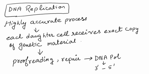 Compare the accuracy of DNA replication, RNA synthesis, and protein ...
