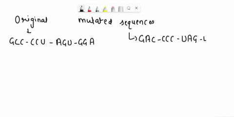 mutations-sometimes-occur-during-dna-synthesis-andor-transcription-the-effects-of-these-mutations-range-from-harmless-to-disastrous-for-the-mutation-shown-below-determine-whether-it-is-a-sub-57337