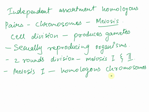 independent-assortment-of-homologous-pair-of-chromosomes-occurs-during-16633