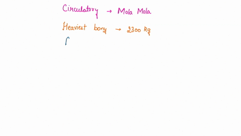 2-what-is-the-circulatory-system-of-mola-mola-sunfish-and-how-it-works-24544