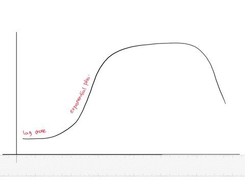 compare-the-phases-of-microbial-growth