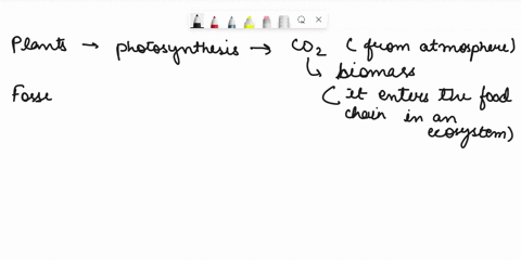 question-4-12-which-of-the-following-statements-are-true-about-the-carbon-cycle-large-proportion-of-the-carbon-on-earth-is-stored-in-the-deep-ocean-carbon-enters-the-food-chain-in-an-ecosyst-77051