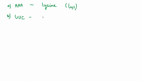 what-amino-acid-is-coded-for-by-each-of-the-following-mrna-codons-a-aaa-b-uuc-c-cgg-d-gca-35644