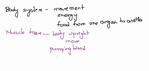 which-body-system-is-responsible-for-our-movement-energy-and-for-moving-food-from-one-organ-to-another-55707