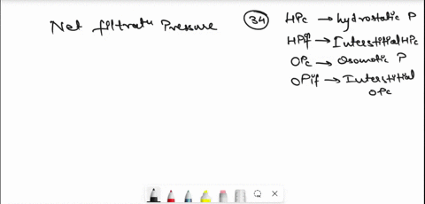 anal-0447-physiology-capillary-dynamics-problem-st-studlenis-ere-complete-the-following-prohkms-udkengo-to-suhmit-their-feyennenic-akwcro-thc-instnicior-on-flickbuardo-answetsfieed-tobe_subm-67831