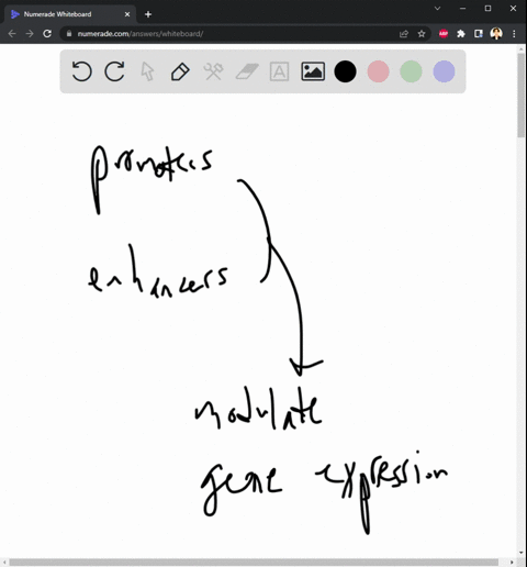 what-are-the-advantages-of-having-multiple-types-of-promoters-and-enhancers-19202