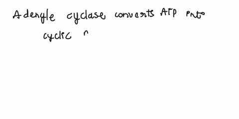 1-what-is-the-role-of-adenyl-cyclase-in-cellular-signal-transduction-15158