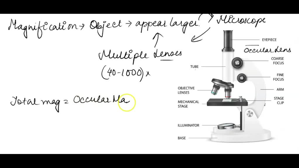SOLVED Complete the following chart by calculating the missing lens or