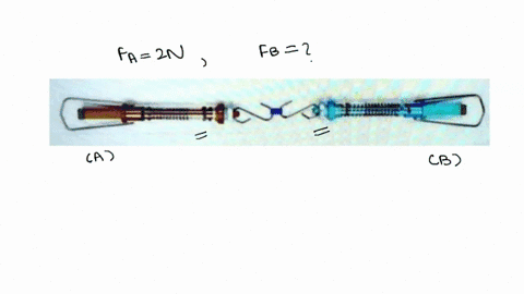 two-spring-scales-pull-each-other-in-opposite-directions-if-the-reading-of-one-scale-is-2-n-the-reading-shows-by-the-second-spring-scale-is-3n-4n-1n-2-n-0n-18554