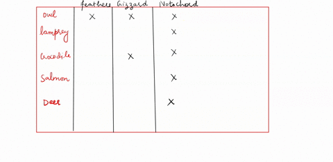 2-7-pts-construct-a-cladogram-to-demonstrate-the-evolutionary-relationships-of-five-species-based-on-the-characteristics-presented-in-the-table-below-the-column-that-has-x-indicates-the-orga-56175