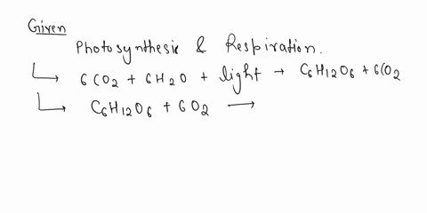 photosynthesis-light-energy-6co2-6h20-c6h12o66o2-respiration-c6h12o66o2-energy-6co2-6h2o-the-first-equation-represents-photosynthesis-plants-use-energy-from-sunlight-to-produce-sugar-and-oxy-32016