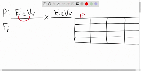 i-need-help-with-my-genetics-homework