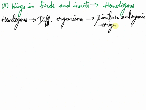 which-of-the-following-represent-homologous-features-a-wings-in-birds-and-insects-b-the-appendix-in-humans-and-horses-c-fins-in-fish-and-wings-in-birds-d-the-striped-coat-of-the-zebra-and-th-09177