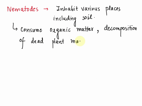 question-9-select-the-correct-statements-describing-nematodes-select-all-that-apply-all-nematodes-live-in-soil-many-nematode-species-play-important-roles-in-nutrient-cycling-nematodes-lack-a-82151