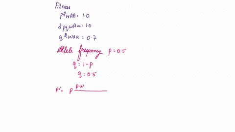 the-relative-fitness-values-of-three-genotypes-are-waa-10-waa-10-and-waa-07-what-is-the-predicted-equilibrium-allele-frequency-if-the-rate-of-mutation-of-a-to-a-is-2-x-10-5-a-q-hat-0022-and-62306