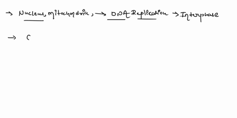 how-do-different-organelles-of-the-cell-interact-during-cell-division-34181