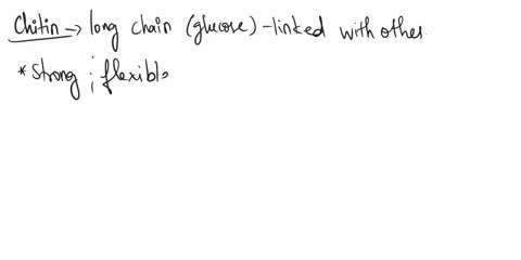 which-specialized-carbohydrate-is-used-for-structure-in-shrimp-cellulose-glucagon-glycogen-chitin-78648