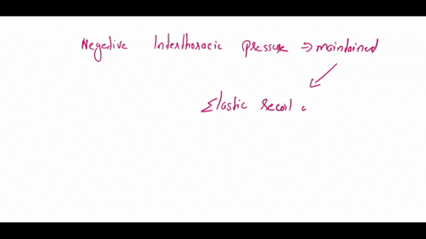 choose-the-correct-answer-and-explain-why-the-other-answers-are-incorrect-1-negative-intrathoracic-pressure-is-maintained-by-all-of-the-following-except-select-the-incorrect-response-elastic-22834
