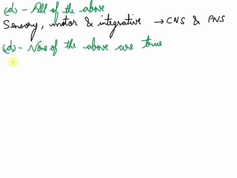 which-neurons-are-in-both-the-central-nervous-and-peripheral-systems-a-sensory-b-motor-c-integrative-d-all-of-the-above-e-sensory-and-motor-15-which-of-the-following-is-true-regarding-somati-43177