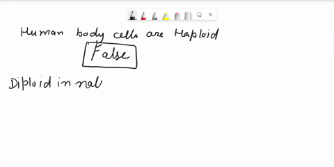 humam-body-cells-are-haploid-true-or-false-80825