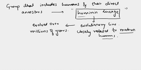 the-group-that-includes-human-and-their-direct-ancestors-is-called-the-98115