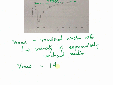 you-can-do-this-or-iv-extra-for-doing-both-a-scientist-isolated-new-enzyme-he-measured-of-the-initial-rate-vo-at-different-concentration-of-the-used-all-the-measurements-is-85-nm-the-followi-96382