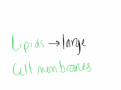 the-most-prominent-lipids-in-animal-ce-membranes-are-select-one-cholesterol-b-cerebrosides-phytosterol-d-phospholipids-glycolipids-d-windows-cj-fa-m-4a-21979