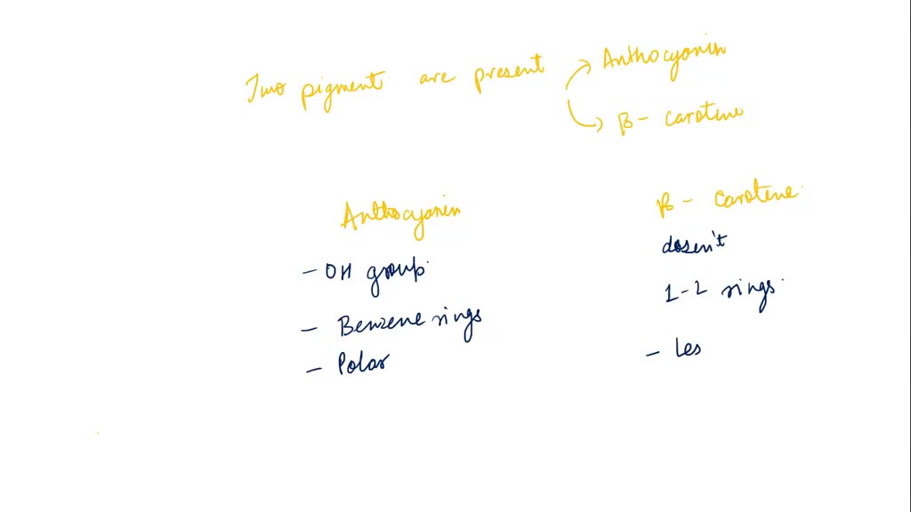 Table 2. Rf values for pigments isolated with petroleum ether/acetone