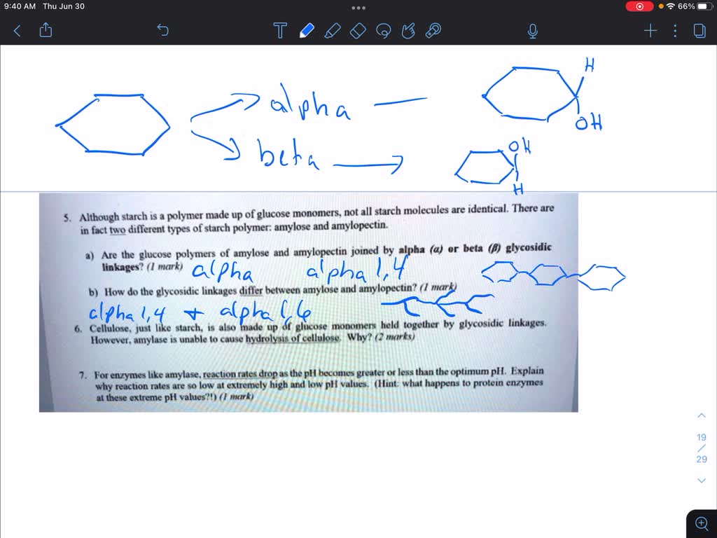 SOLVED Starch is made up of glucose monomers. Not all starch molecules