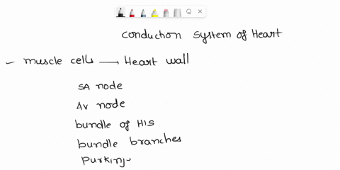 explain-the-conduction-system-of-the-heart-in-your-own-words-and-also-what-role-the-components-of-conducting-system-play-in-producing-ecg-tracing-thank-you-91143