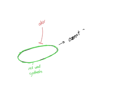 SOLVED:The reaction below is part of the biosynthesis of peptidoglycan, a major component of bacterial cell walls. Is it likely to proceed by a nucleophilic substitution mechanism? Explain. SOLVED:The reaction below is part of the biosynthesis of peptidoglycan, a major component of bacterial cell walls. Is it likely to proceed by a nucleophilic substitution mechanism? Explain.
