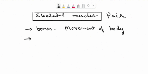 which-muscles-work-in-pairs-cardiac-muscles-skeletal-muscles-smooth-muscles-50691
