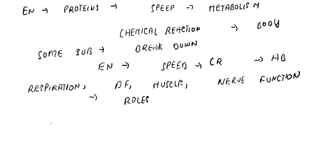 SOLVED Enzymes are responsible for the majority of chemical reactions