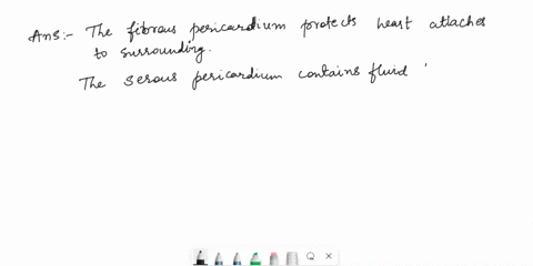 which-of-the-following-are-true-of-the-pericardium-the-fibrous-pericardium-protects-the-heart-and-attaches-it-to-surrounding-structures-the-serous-pericardium-contains-fluid-between-its-laye-80895