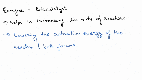 if-an-enzyme-is-added-to-a-solution-where-its-substrate-and-product-are-in-equilibrium-what-will-o-3-67657