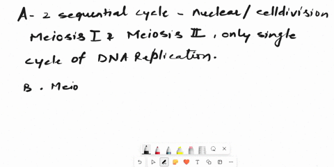 which-of-the-following-is-not-a-feature-of-meiosis-a-meiosis-involves-two-sequential-cycles-of-nuclear-and-cell-division-meiosis-i-and-meiosis-ii-but-only-a-single-cycle-of-dna-replication-b-52755