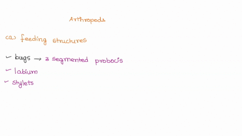 among-the-traits-that-have-made-the-arthropods-successful-evolutionarily-is-that-they-have-different-mouthparts-that-allow-them-to-feed-on-different-types-of-food-therefore-reducing-competit-04858