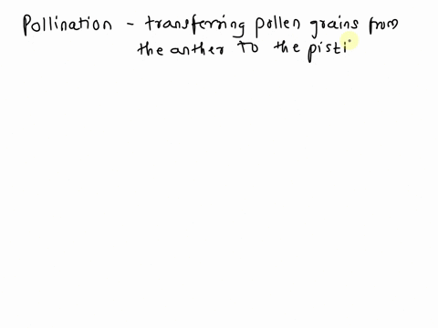 bees-and-other-animals-can-be-pollinators-how-does-a-pollinator-pollinate-a-flower-a-by-dropping-pollen-on-the-anthers-b-by-dropping-pollen-on-the-pistil-59997