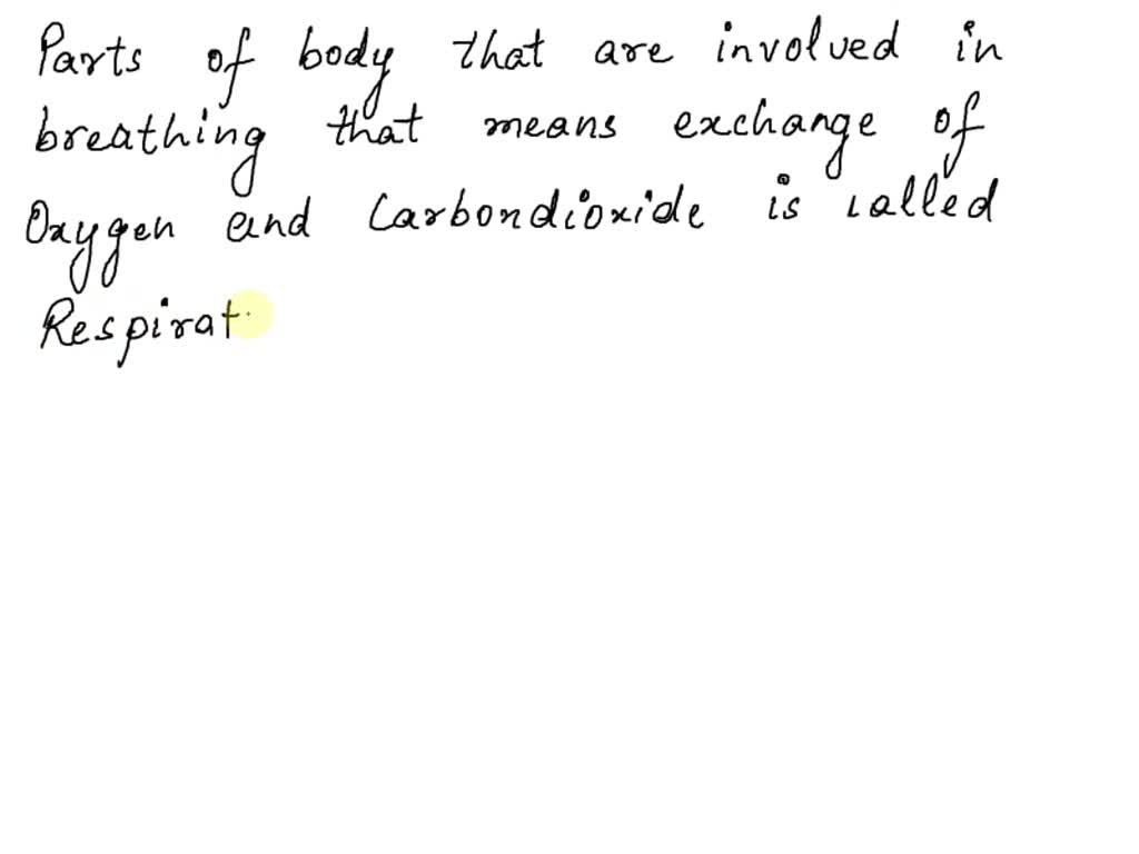 SOLVED what system is responsible for the exchange of oxygen and