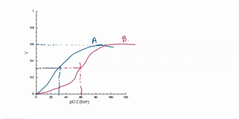 11-draw-a-graph-illustrating-the-relationship-between-y-what-does-this-term-mean-and-oxygen-concentration-for-hemoglobin-in-the-presence-of-bpg-label-this-a-and-draw-the-curve-so-that-it-ref-86314