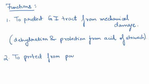 why-are-goblet-cells-necessary-for-gi-tract-function-was-there-a-difference-in-the-amount-of-goblet-cells-in-the-stomach-duodenum-ileum-and-large-intestine-explain-why-this-difference-occurs-50613