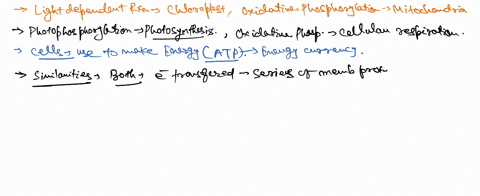 both-the-light-dependent-reactions-in-chloroplasts-and-oxidative-phosphorylation-in-mitochondria-rely-on-the-use-of-electron-transport-chains-compare-and-contrast-these-two-systems-being-sur-74438