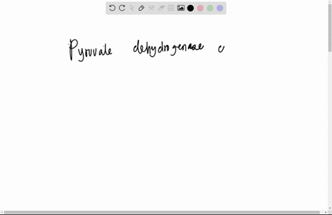 a-what-enzymes-is-are-responsible-for-the-following-reaction-pyruvate-coa-nad-acetyl-coa-nadh-h-co2-group-of-answer-choices-pyruvate-dehydrogenase-complex-pyruvate-decarboxylase-none-of-the-07813