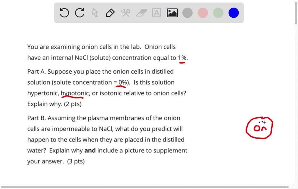SOLVED You are examining onion cells in the lab Onion cells have an internal NaCl (solute