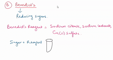 a-lodine-b-benedicts-solution-c-biuret-reagent-d-sudan-red-e-methylene-blue-63823