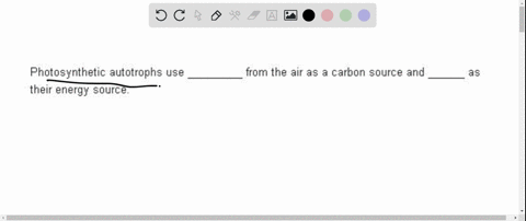 photosynthetic-autotrophs-use-_______-from-the-air-as-a-carbon-source-and-______-as-their-energy-sou-89694